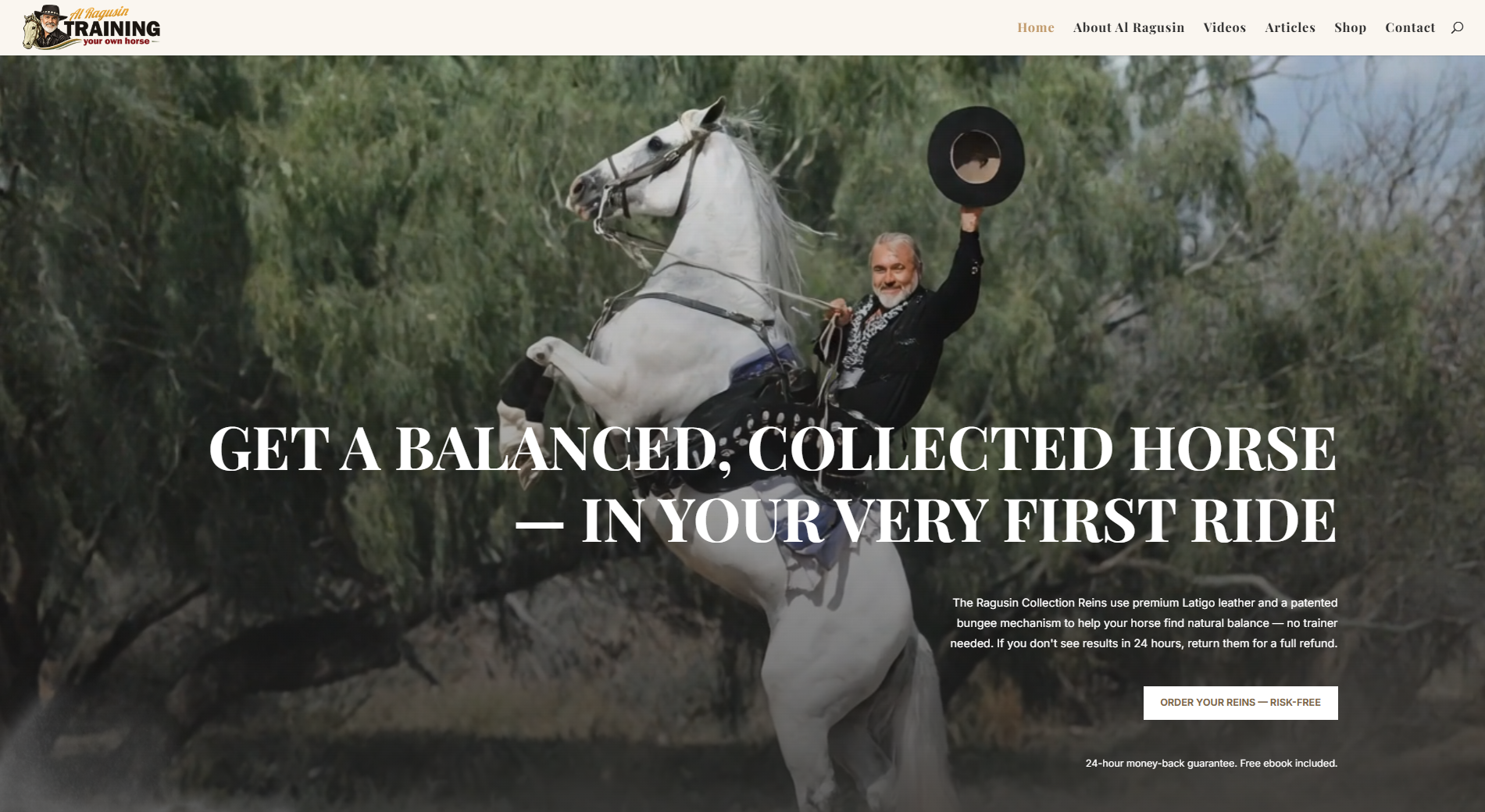 Complete Brand & Digital Transformation: Training Your Own Horse